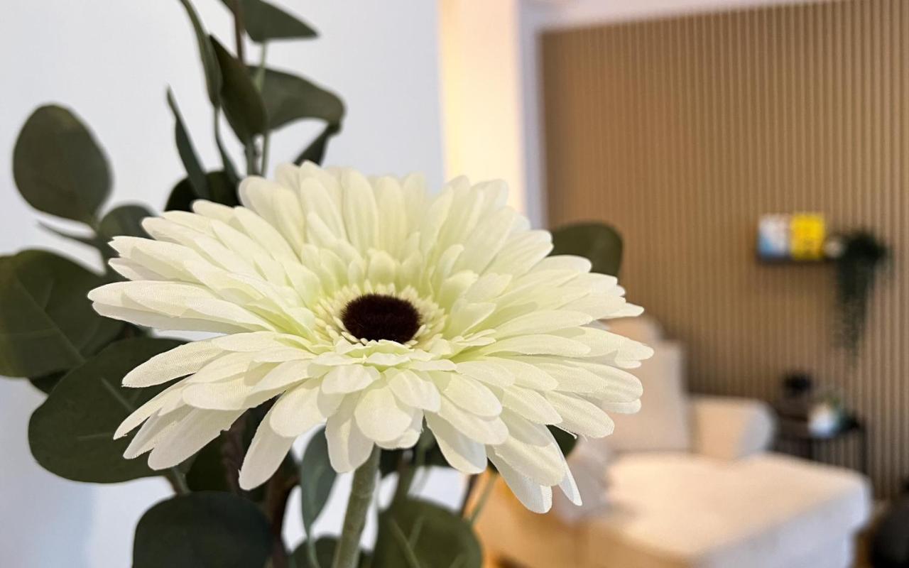 Modernes Studio Appartement Mit Leseecke แกร์นสบาค ภายนอก รูปภาพ